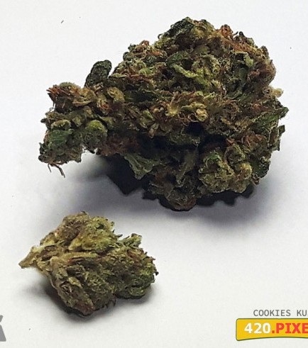 Semilla Cookies Kush