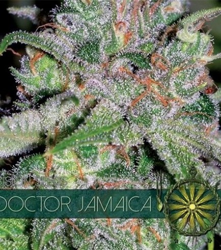 Semilla Doctor Jamaica