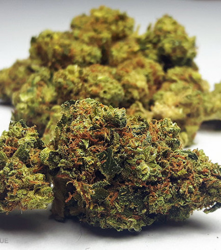 Semilla cannabis Semillas olor y sabor Piña