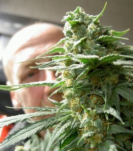 Semilla No Mercy Special