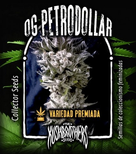 Semilla Petrodollar